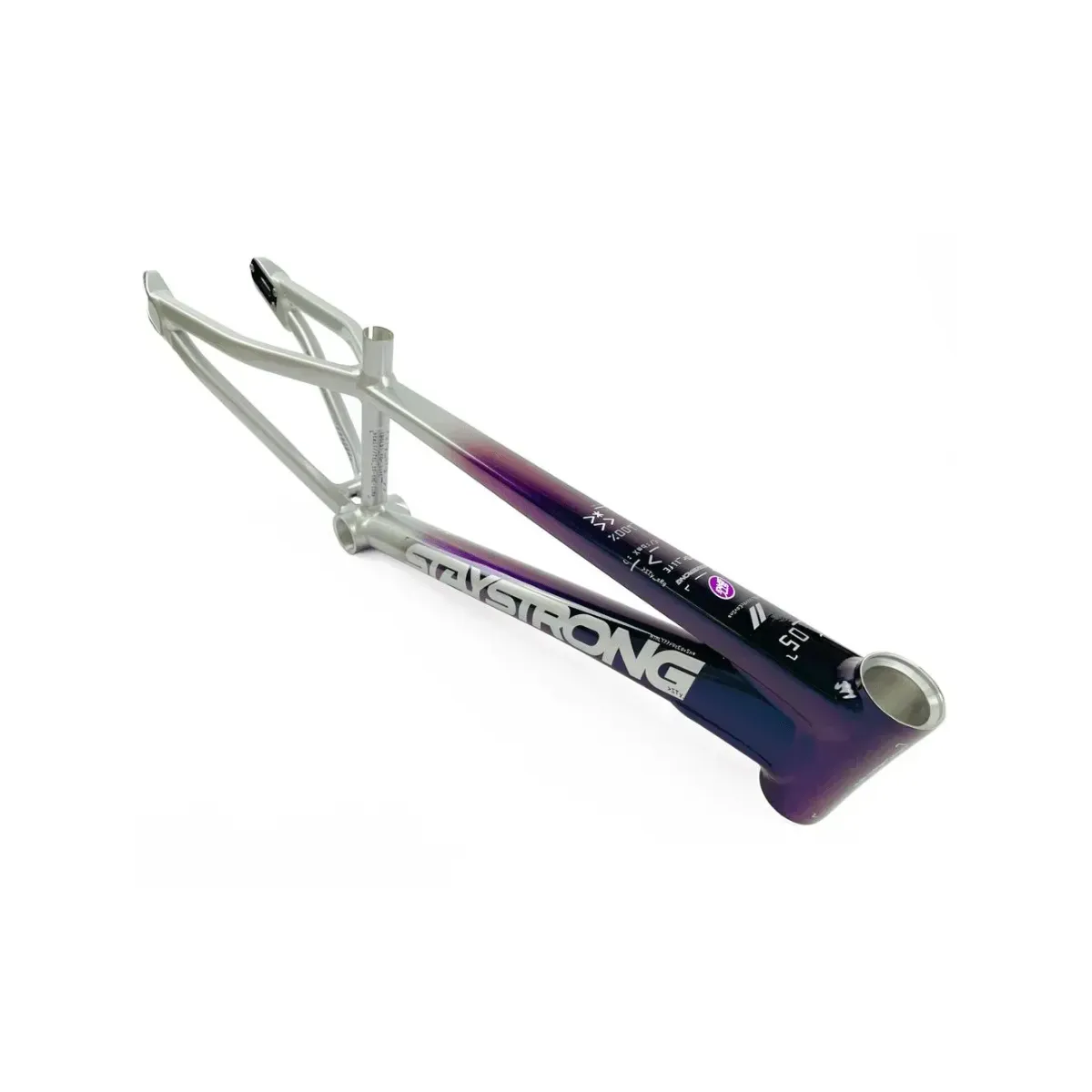 Stay Strong V5 2024 Disc Only Frame Chameleon/Silver
